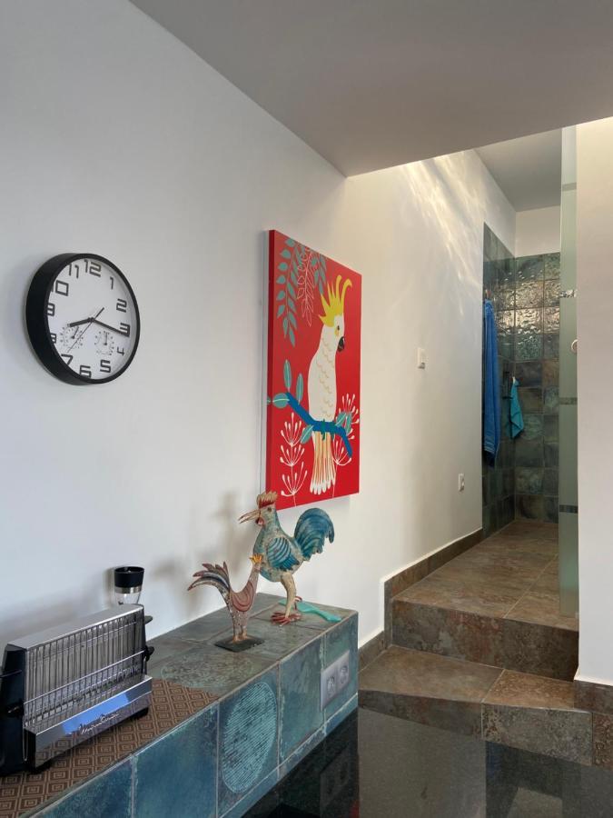 Villa Oasis La Paz - Acaymo Loft - Adults Only - Puerto de la Cruz  Luaran gambar